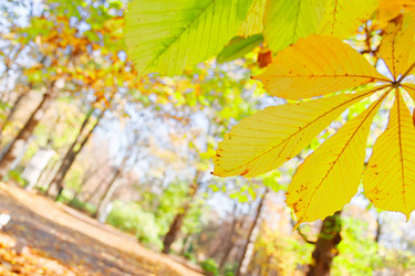 Similar image 11911912