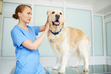 Similar image 11900199