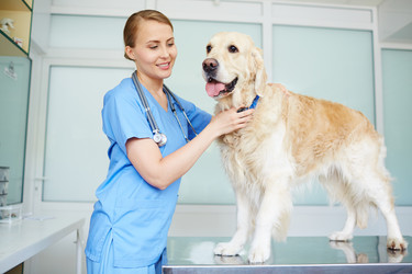 Similar image 11900213