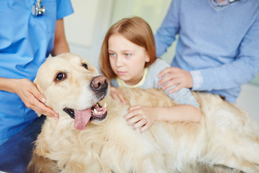 Similar image 11900214