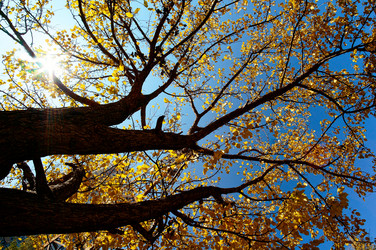 Similar image 11910385