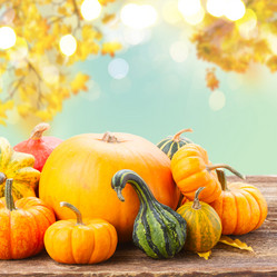 Similar image 11912326