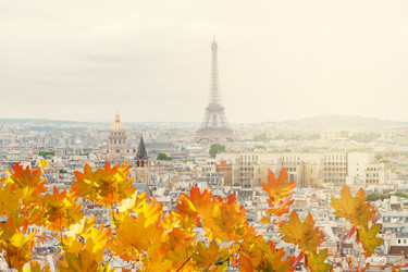 Similar image 11912823