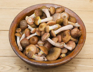 Similar image 11922869