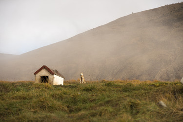 Similar image 11913532