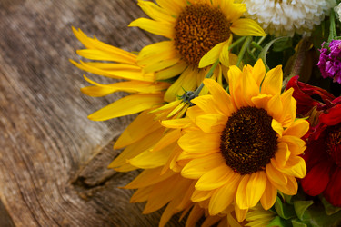 Similar image 11914053