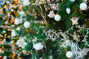 Similar image 11912344