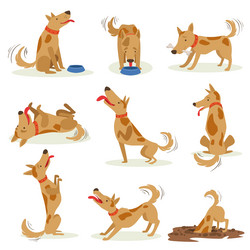 Similar image 11920910