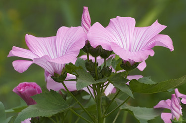 Similar image 11904460