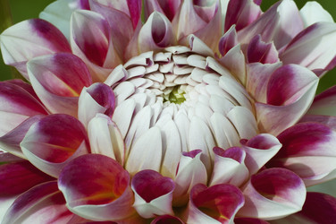 Similar image 11904461