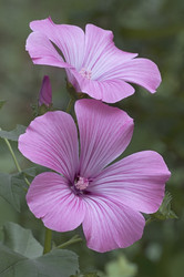 Similar image 11904462