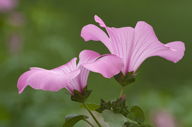 Similar image 11904465