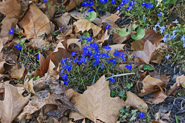 Similar image 11904468