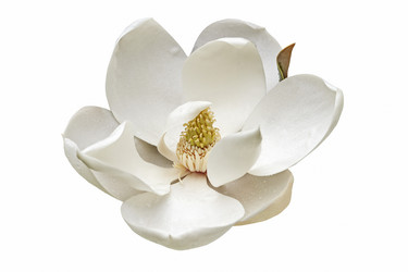 Similar image 11904471