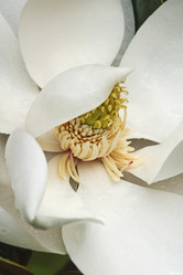 Similar image 11904472