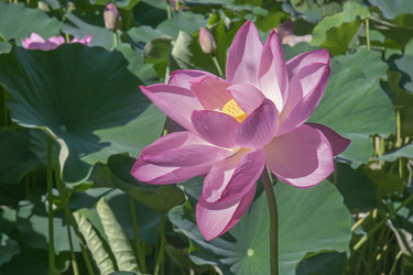 Similar image 11904475