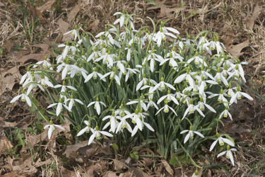 Similar image 11904478