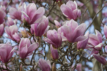 Similar image 11904479