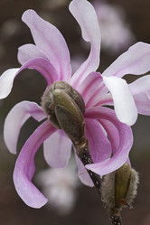 Similar image 11904482