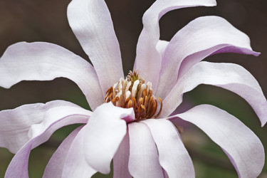 Similar image 11904483