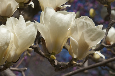 Similar image 11904486