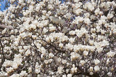 Similar image 11904487