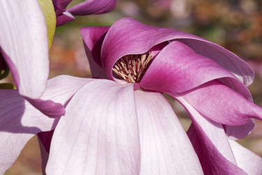 Similar image 11904489