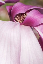 Similar image 11904490