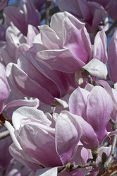 Similar image 11904493