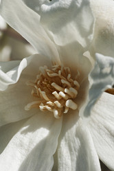 Similar image 11904495