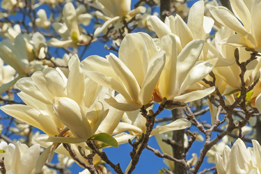 Similar image 11904497