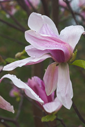 Similar image 11904515