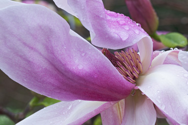 Similar image 11904516