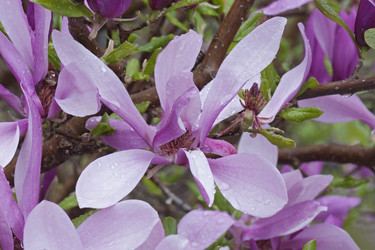 Similar image 11904518