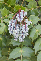 Similar image 11904417