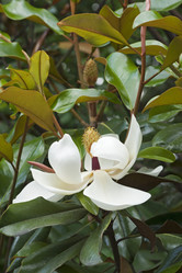 Similar image 11904428