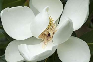 Similar image 11904429