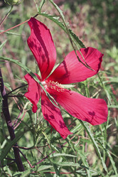 Similar image 11904431