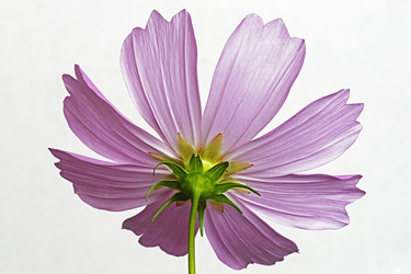 Similar image 11904433