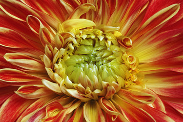 Similar image 11904434