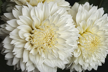 Similar image 11904435