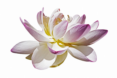 Similar image 11904444