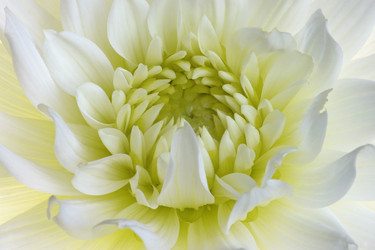 Similar image 11904445