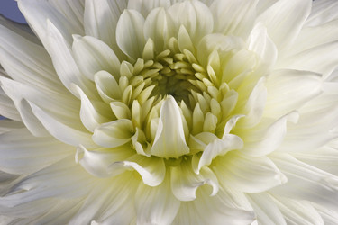 Similar image 11904446