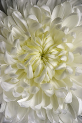 Similar image 11904447