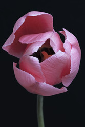 Similar image 11904449