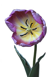 Similar image 11904452