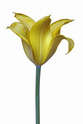 Similar image 11904455