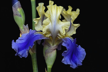 Similar image 11904456