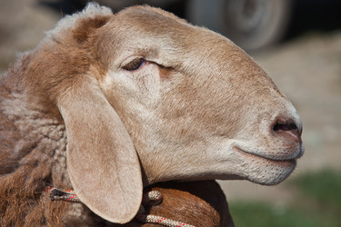 Similar image 11910605